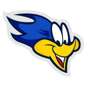 Team Page: Norwood Park Elementary